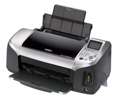 Cartuchos Epson Stylus Photo R300M